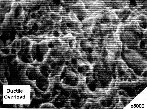 Scanning electron micrograph of fracture face